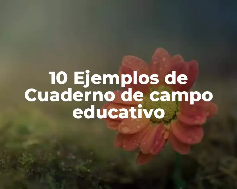 10 Ejemplos de Cuaderno de campo educativo