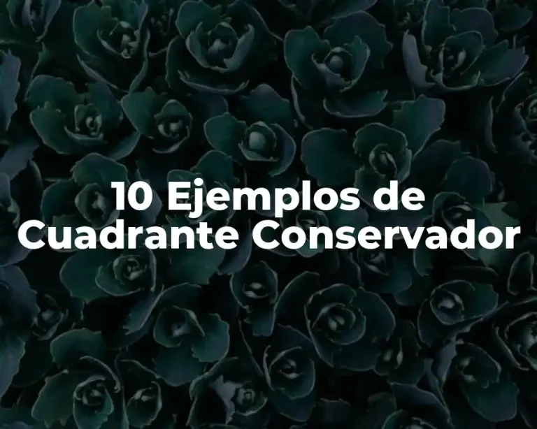 10 Ejemplos de Cuadrante Conservador