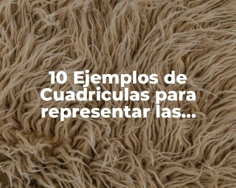 10 Ejemplos de Cuadriculas para representar las multiplicaciones