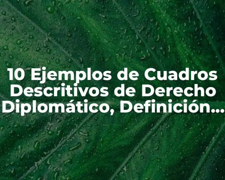 10 Ejemplos de Cuadros Descritivos de Derecho Diplomático, Definición, Diferencias y para que sirve