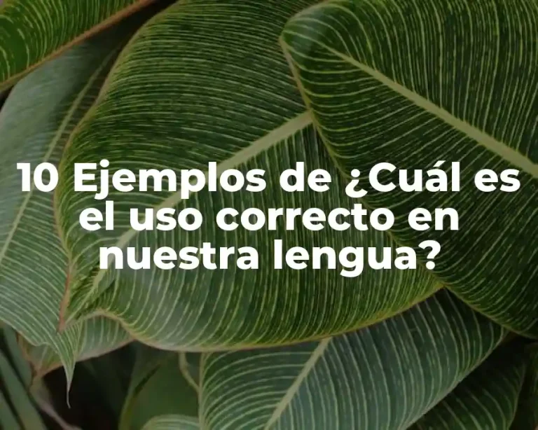 10 Ejemplos de ¿Cuál es el uso correcto en nuestra lengua?