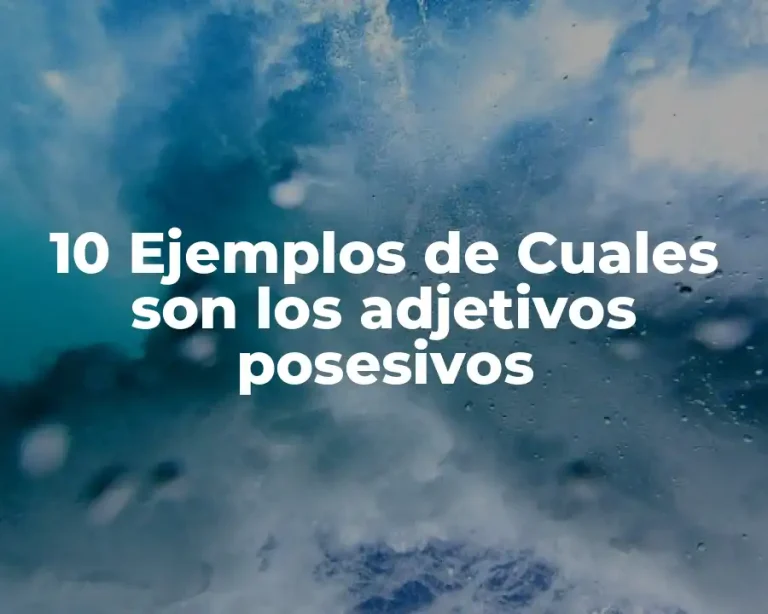 10 Ejemplos de Cuales son los adjetivos posesivos