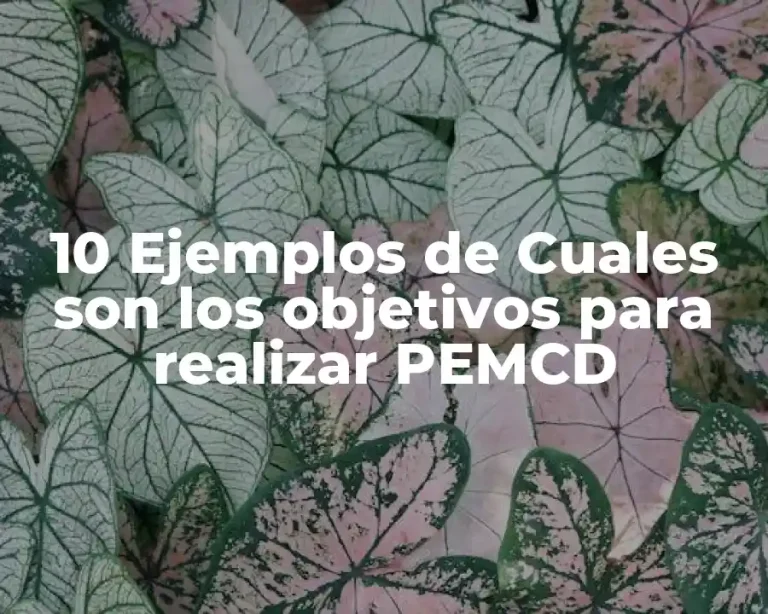 10 Ejemplos de Cuales son los objetivos para realizar PEMCD