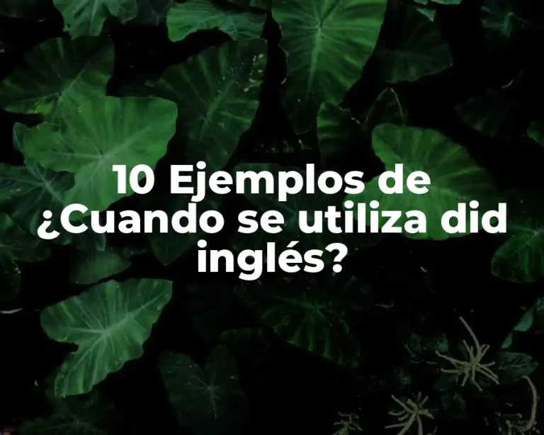 10 Ejemplos de ¿Cuando se utiliza did inglés?