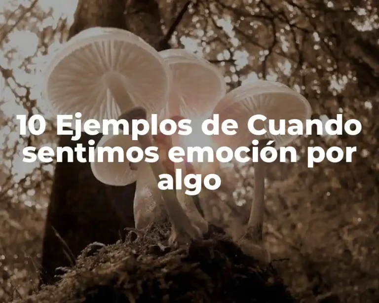 10 Ejemplos de Cuando sentimos emoción por algo