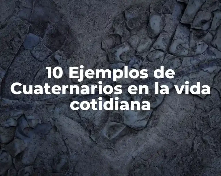 10 Ejemplos de Cuaternarios en la vida cotidiana