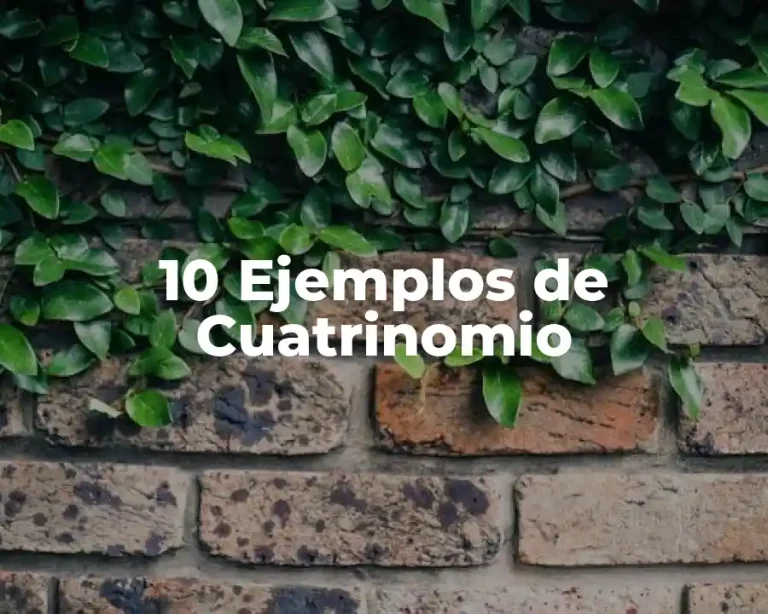 10 Ejemplos de Cuatrinomio