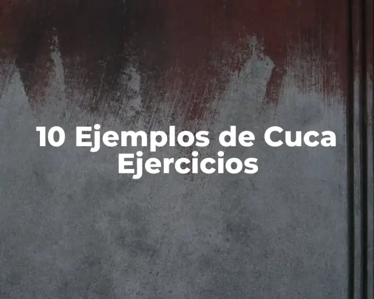 10 Ejemplos de Cuca Ejercicios