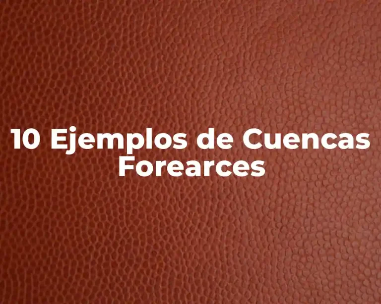 10 Ejemplos de Cuencas Forearces