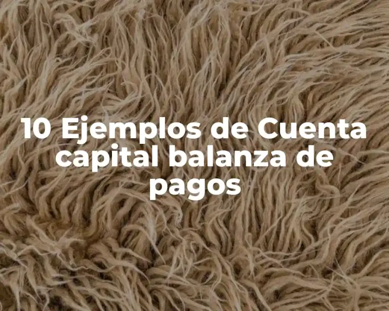 10 Ejemplos de Cuenta capital balanza de pagos