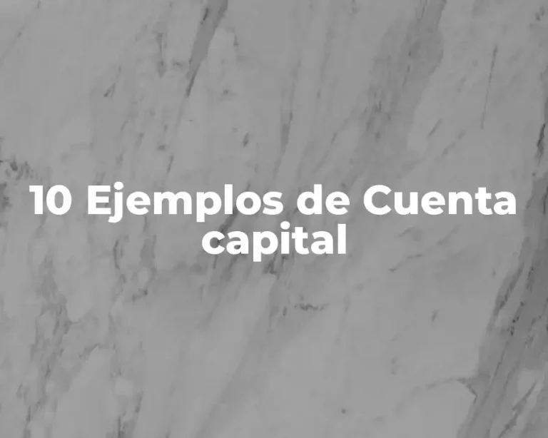 10 Ejemplos de Cuenta capital