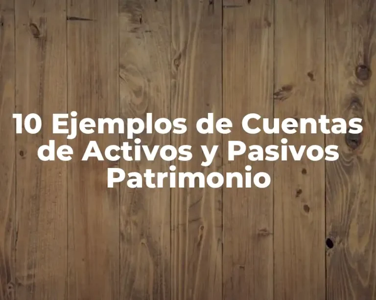 10 Ejemplos de Cuentas de Activos y Pasivos Patrimonio