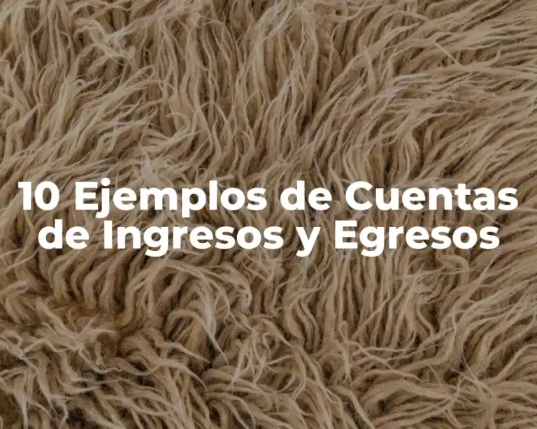 10 Ejemplos de Cuentas de Ingresos y Egresos