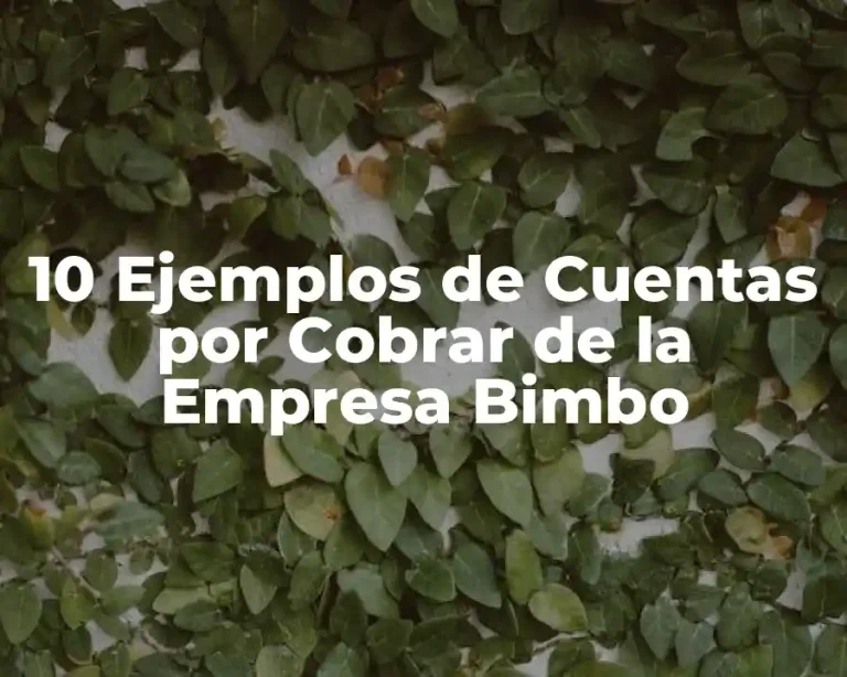 10 Ejemplos de Cuentas por Cobrar de la Empresa Bimbo
