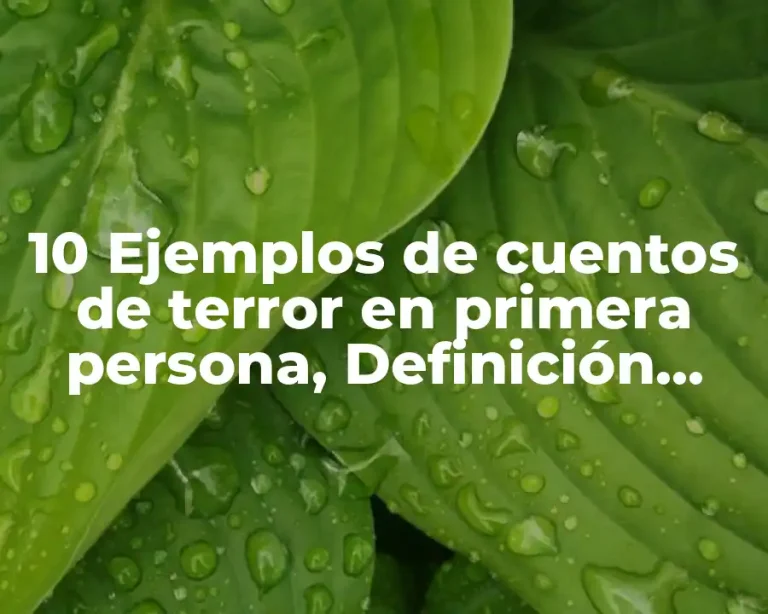 10 Ejemplos de cuentos de terror en primera persona, Definición, Diferencias y para que sirve