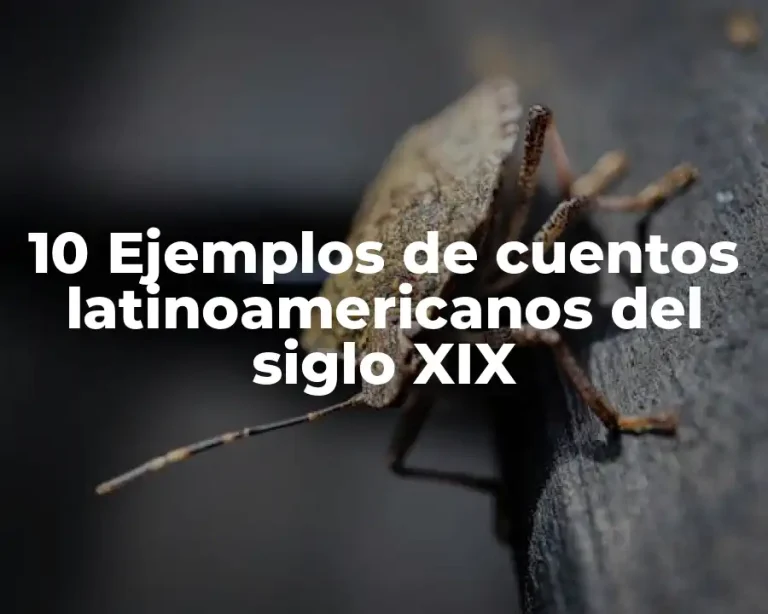 10 Ejemplos de cuentos latinoamericanos del siglo XIX