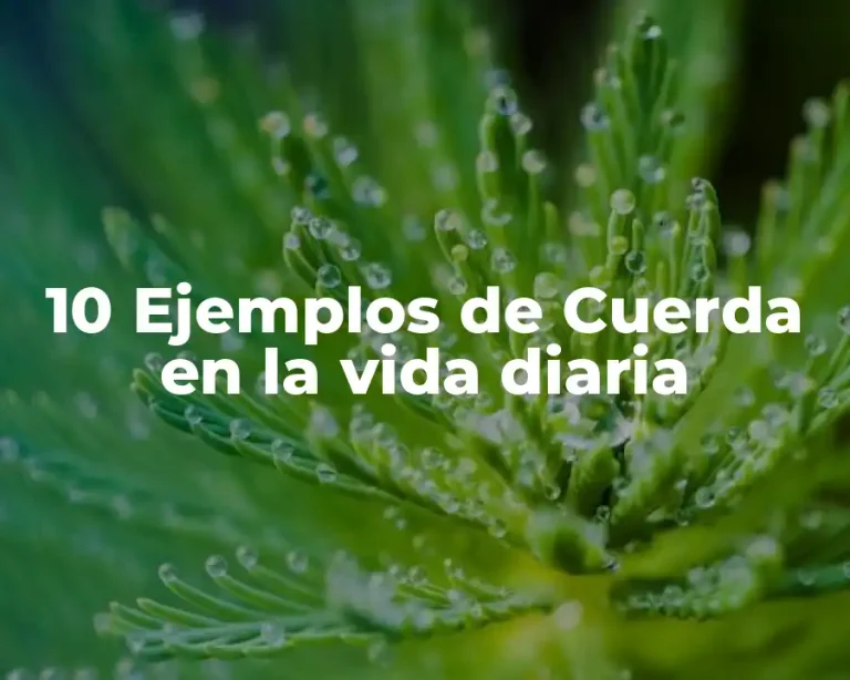 10 Ejemplos de Cuerda en la vida diaria
