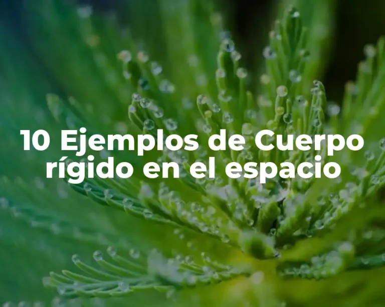 10 Ejemplos de Cuerpo rígido en el espacio