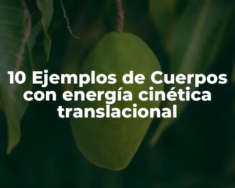 10 Ejemplos de Cuerpos con energía cinética translacional