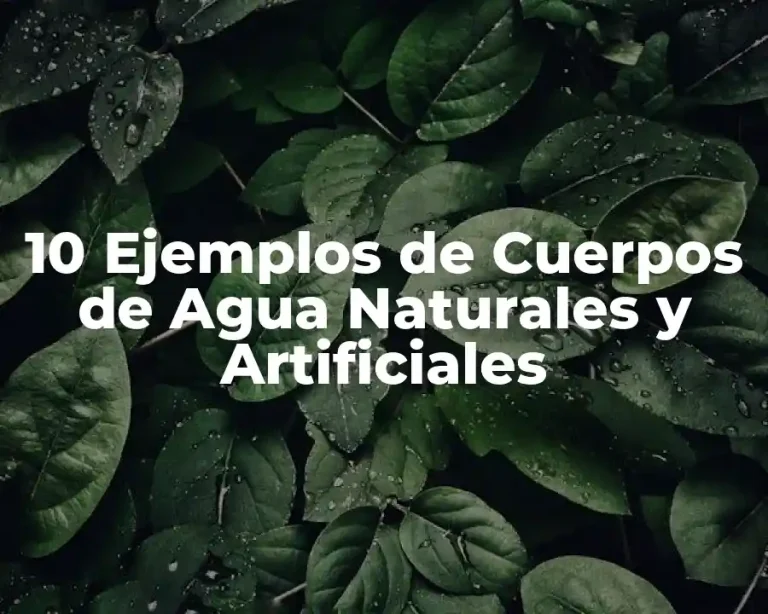 10 Ejemplos de Cuerpos de Agua Naturales y Artificiales