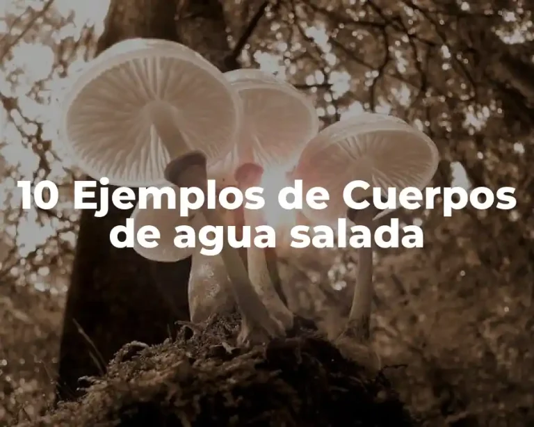 10 Ejemplos de Cuerpos de agua salada