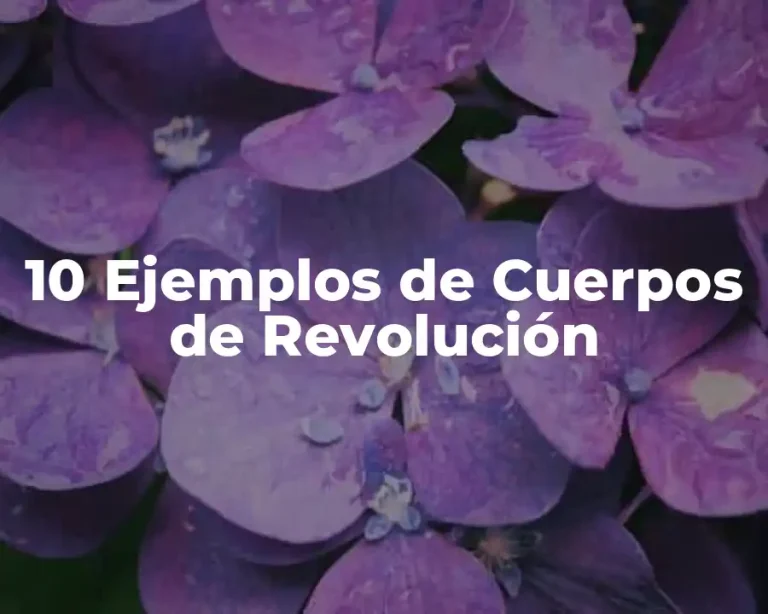 10 Ejemplos de Cuerpos de Revolución