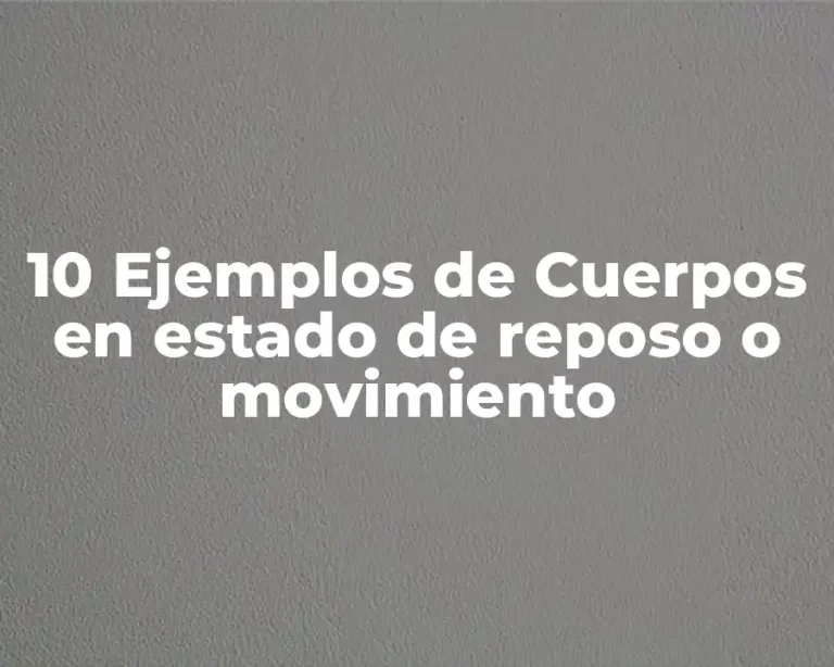 10 Ejemplos de Cuerpos en estado de reposo o movimiento