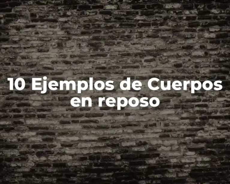 10 Ejemplos de Cuerpos en reposo