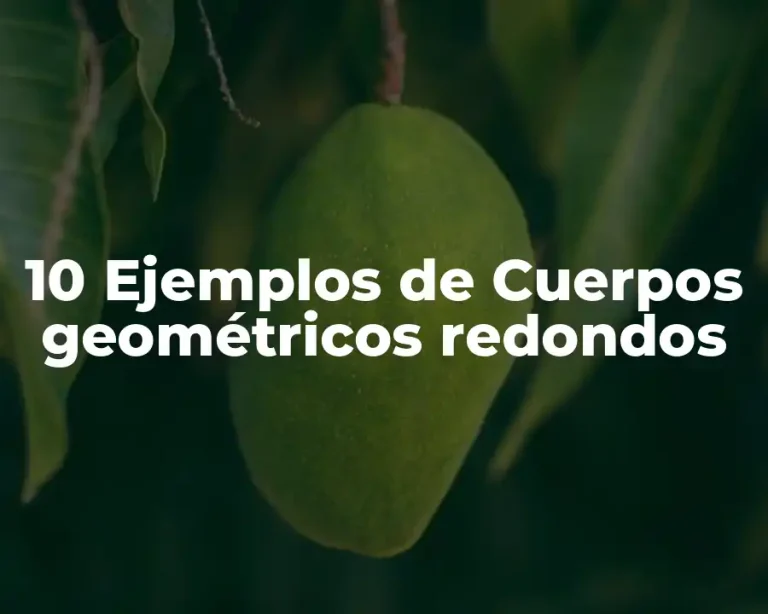 10 Ejemplos de Cuerpos geométricos redondos