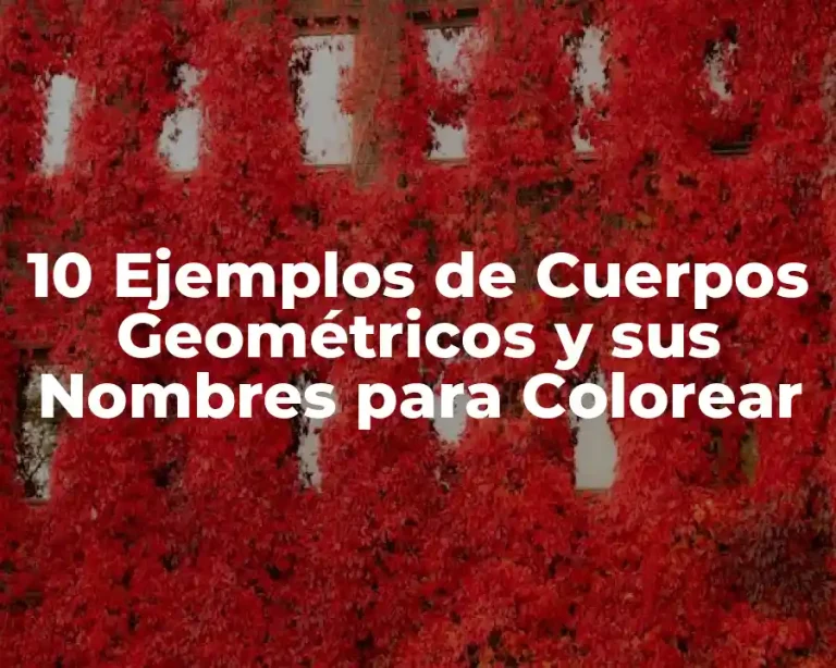 10 Ejemplos de Cuerpos Geométricos y sus Nombres para Colorear