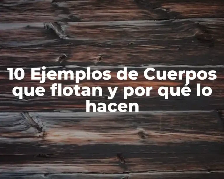 10 Ejemplos de Cuerpos que flotan y por qué lo hacen