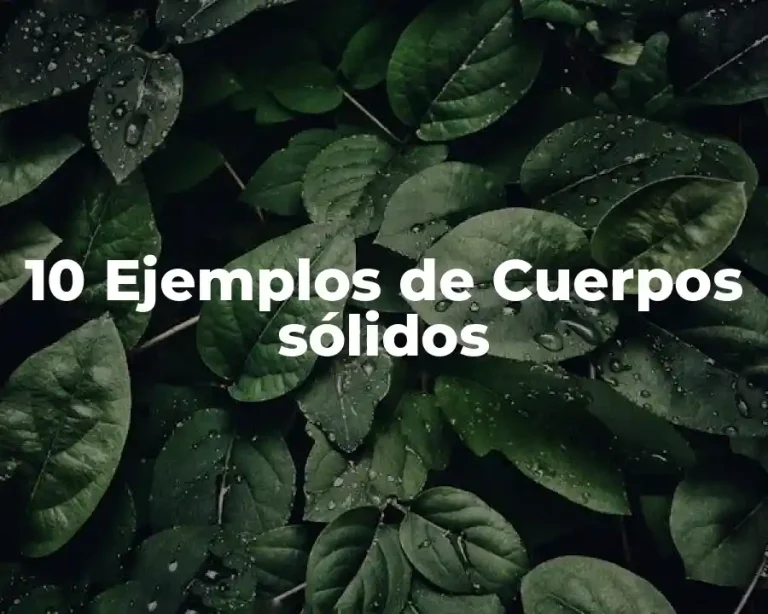 10 Ejemplos de Cuerpos sólidos