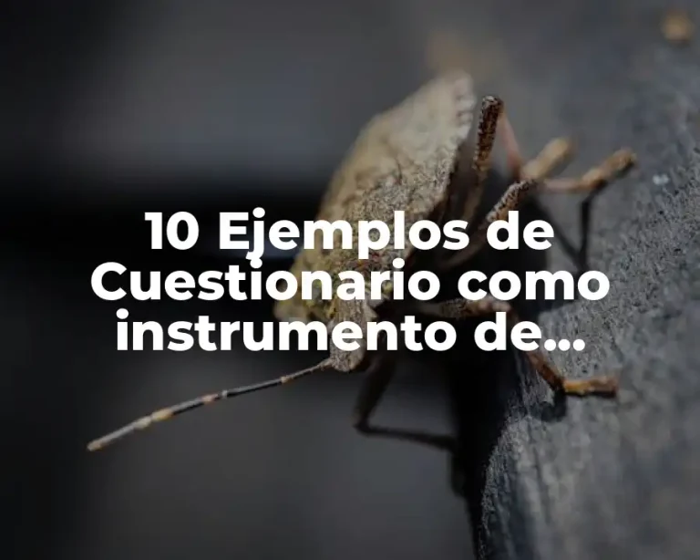 10 Ejemplos de Cuestionario como instrumento de evaluación