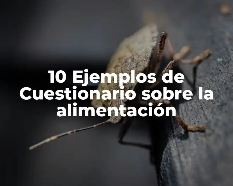10 Ejemplos de Cuestionario sobre la alimentación