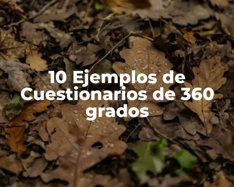 10 Ejemplos de Cuestionarios de 360 grados