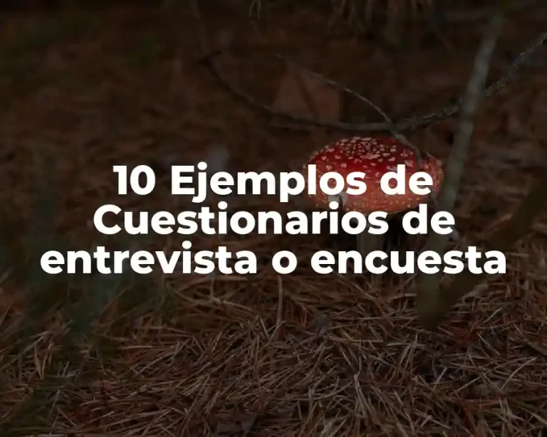 10 Ejemplos de Cuestionarios de entrevista o encuesta