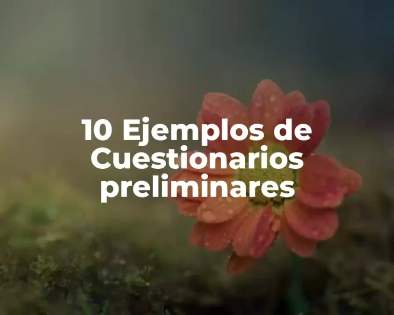 10 Ejemplos de Cuestionarios preliminares