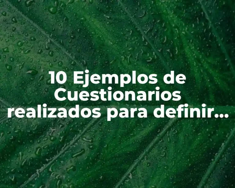 10 Ejemplos de Cuestionarios realizados para definir target