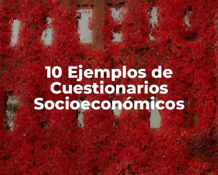 10 Ejemplos de Cuestionarios Socioeconómicos