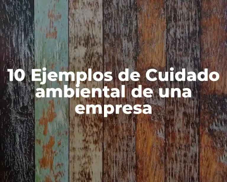 10 Ejemplos de Cuidado ambiental de una empresa