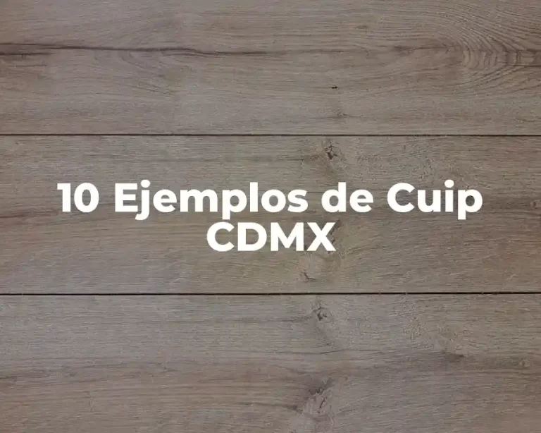 10 Ejemplos de Cuip CDMX