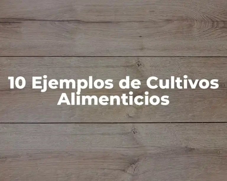 10 Ejemplos de Cultivos Alimenticios