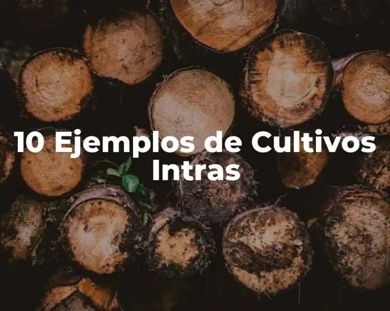 10 Ejemplos de Cultivos Intras