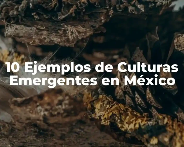 10 Ejemplos de Culturas Emergentes en México