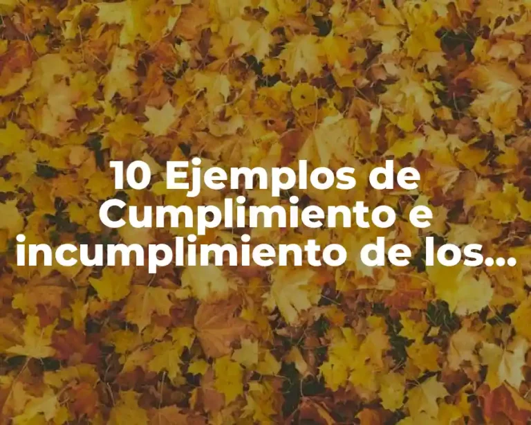 10 Ejemplos de Cumplimiento e incumplimiento de los derechos humanos