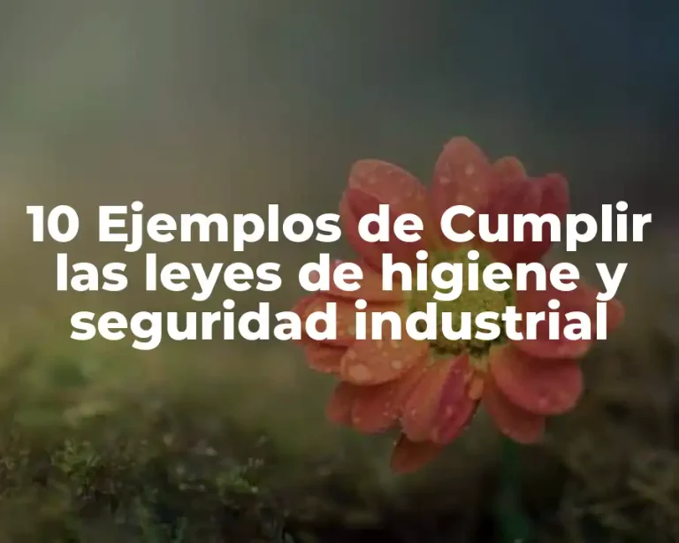 10 Ejemplos de Cumplir las leyes de higiene y seguridad industrial