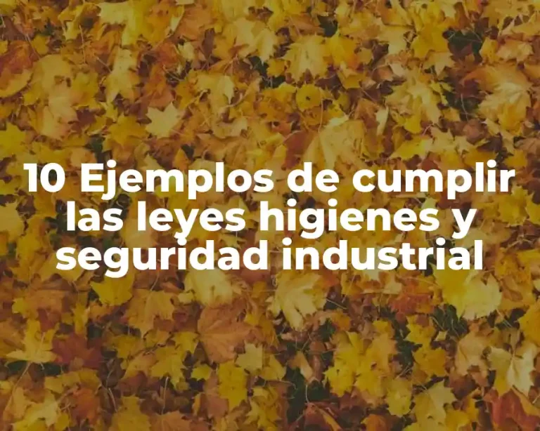 10 Ejemplos de cumplir las leyes higienes y seguridad industrial