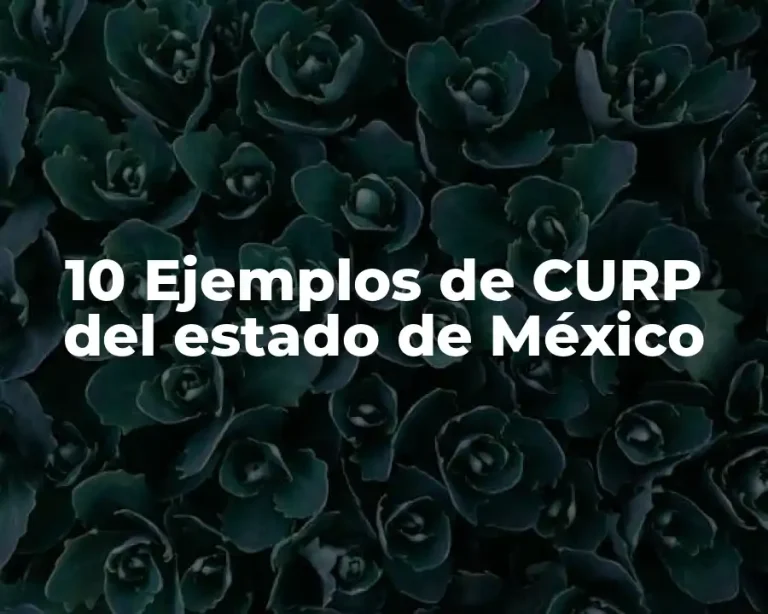 10 Ejemplos de CURP del estado de México
