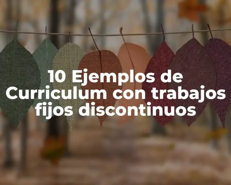 10 Ejemplos de Curriculum con trabajos fijos discontinuos