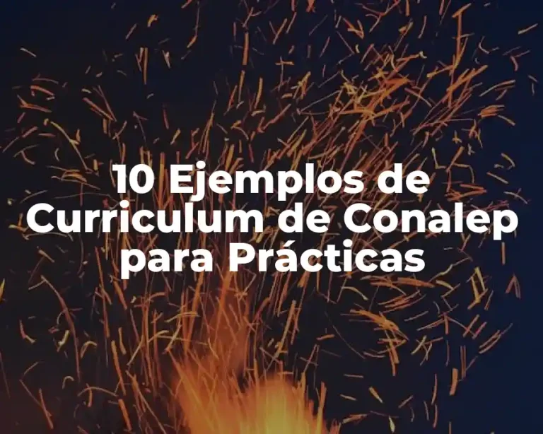 10 Ejemplos de Curriculum de Conalep para Prácticas